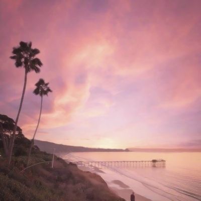 金沙集团186cc成色官方版下载截图