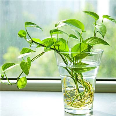 南宫体育app下载安装截图